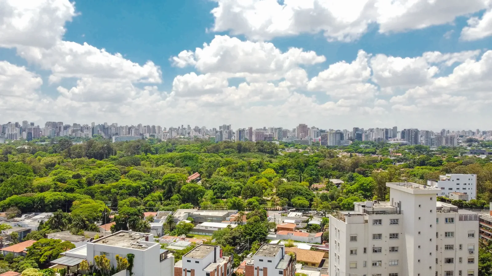 Vista real a partir da cobertura em direção às copas de árvores e aos edifícios da cidade