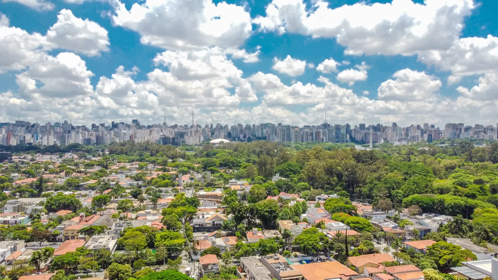 Vista panorâmica real da cobertura sobre árvores, casas e o horizonte de São Paulo